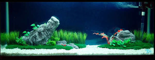 水族箱造景石英砂規格選擇指南