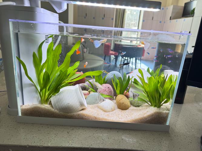 YEE迷你數顯恒溫加熱棒 小型水族箱與低水位環境的智能溫控解決方案